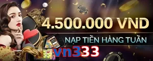 vn333