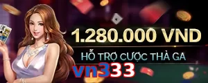 vn333