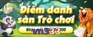 vn333