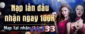 vn333