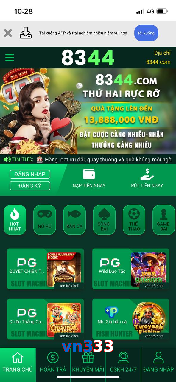 vn333