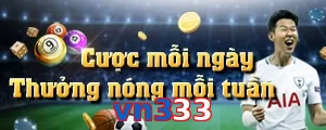 vn333