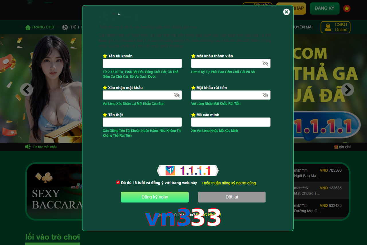 vn333